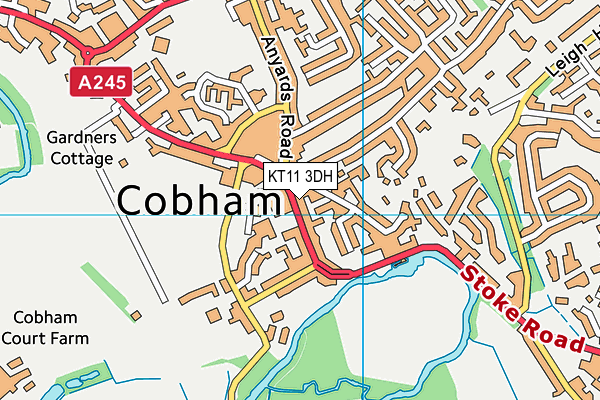 Map of THE OPTICAL CO (COBHAM) LTD at district scale