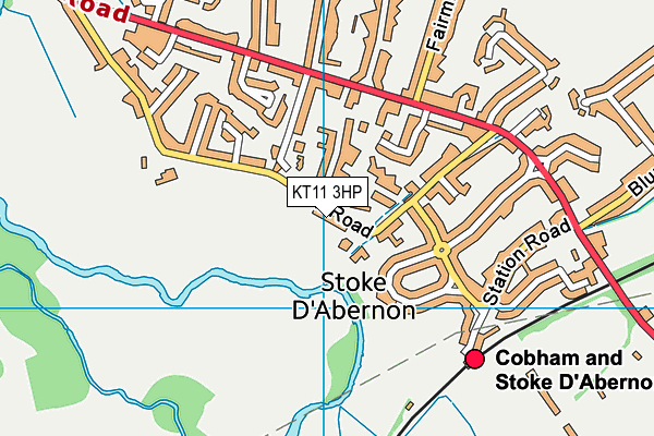 KT11 3HP map - OS VectorMap District (Ordnance Survey)