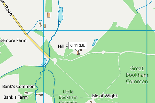 KT11 3JU map - OS VectorMap District (Ordnance Survey)