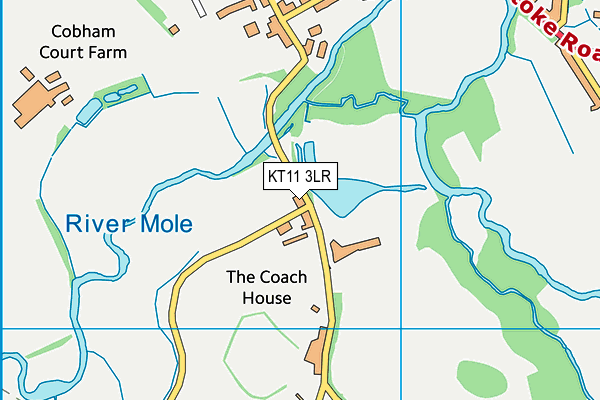 KT11 3LR map - OS VectorMap District (Ordnance Survey)