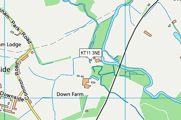 KT11 3NE map - OS VectorMap District (Ordnance Survey)