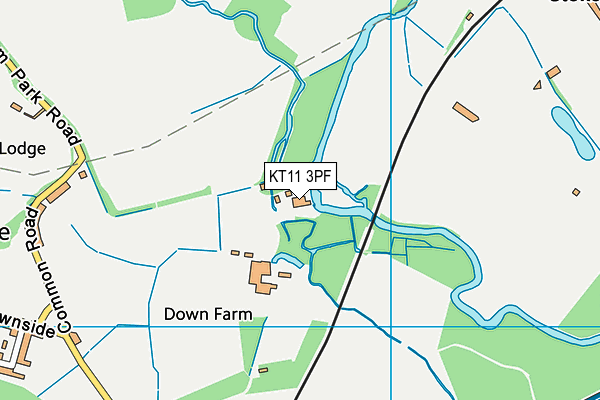 KT11 3PF map - OS VectorMap District (Ordnance Survey)