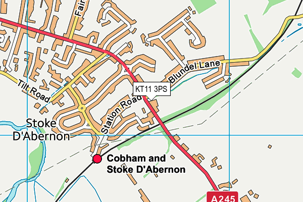 Stoke D'abernon Recreation Ground map (KT11 3PS) - OS VectorMap District (Ordnance Survey)