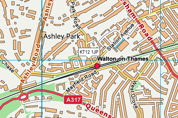 KT12 1JP map - OS VectorMap District (Ordnance Survey)