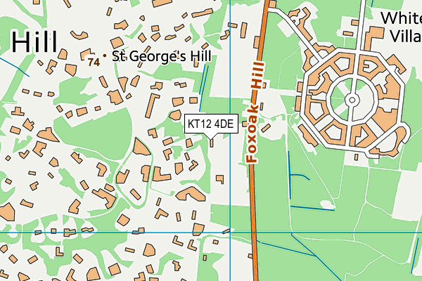 KT12 4DE map - OS VectorMap District (Ordnance Survey)