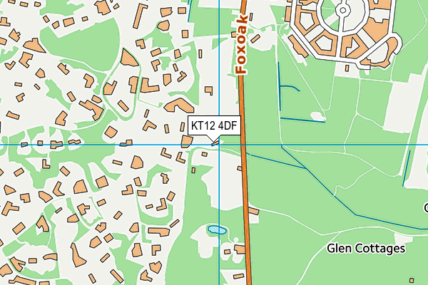 KT12 4DF map - OS VectorMap District (Ordnance Survey)