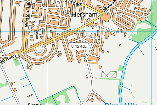 KT12 4JE map - OS VectorMap District (Ordnance Survey)