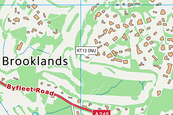 KT13 0NU map - OS VectorMap District (Ordnance Survey)