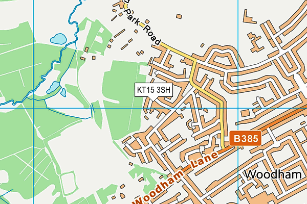 KT15 3SH map - OS VectorMap District (Ordnance Survey)