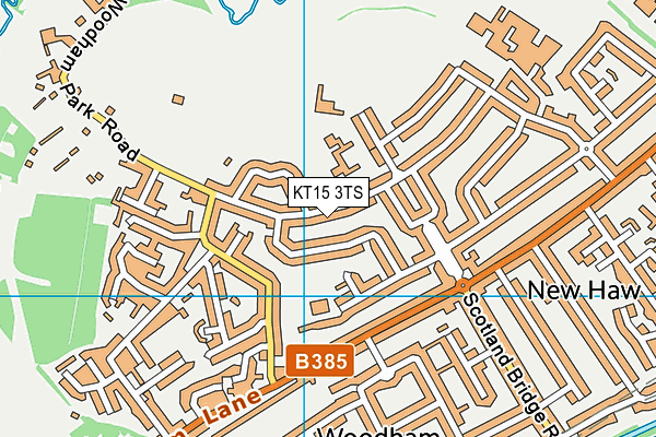 KT15 3TS map - OS VectorMap District (Ordnance Survey)