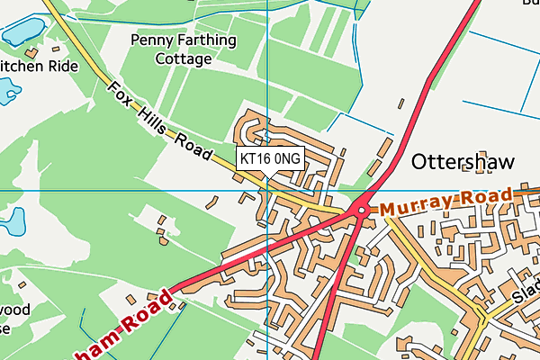KT16 0NG map - OS VectorMap District (Ordnance Survey)