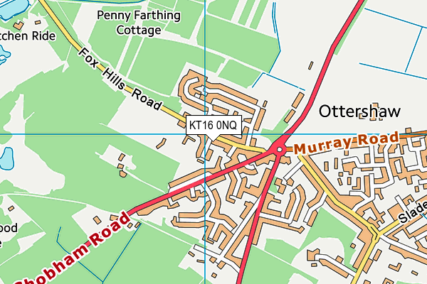 KT16 0NQ map - OS VectorMap District (Ordnance Survey)