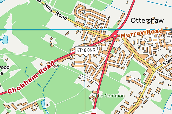 KT16 0NR map - OS VectorMap District (Ordnance Survey)