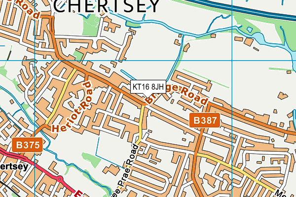 KT16 8JH map - OS VectorMap District (Ordnance Survey)