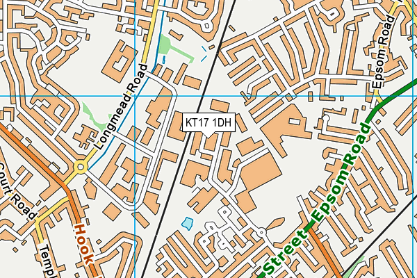 KT17 1DH map - OS VectorMap District (Ordnance Survey)