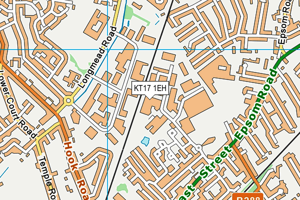 KT17 1EH map - OS VectorMap District (Ordnance Survey)