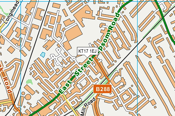 KT17 1EJ map - OS VectorMap District (Ordnance Survey)