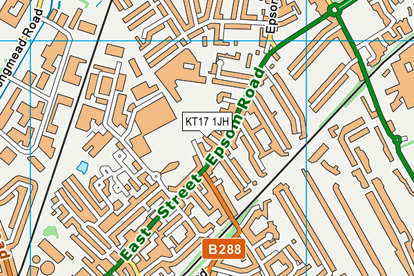 KT17 1JH map - OS VectorMap District (Ordnance Survey)
