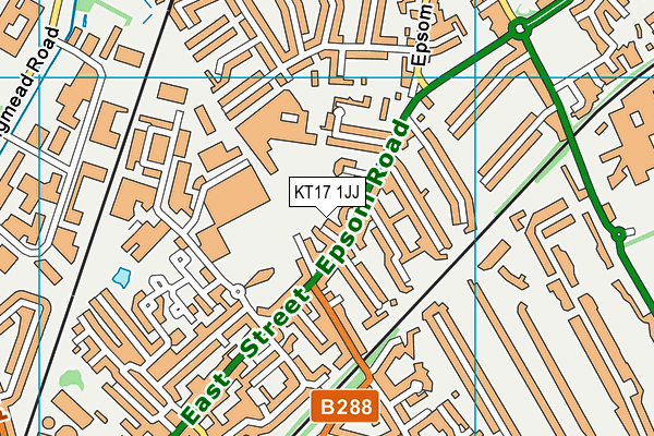 KT17 1JJ map - OS VectorMap District (Ordnance Survey)