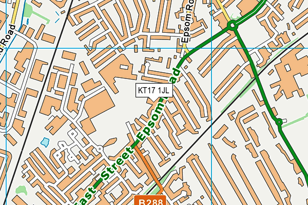 KT17 1JL map - OS VectorMap District (Ordnance Survey)