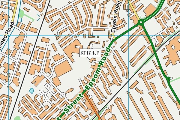 KT17 1JP map - OS VectorMap District (Ordnance Survey)