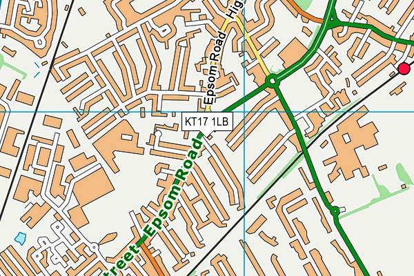 KT17 1LB map - OS VectorMap District (Ordnance Survey)
