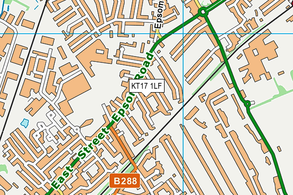 KT17 1LF map - OS VectorMap District (Ordnance Survey)