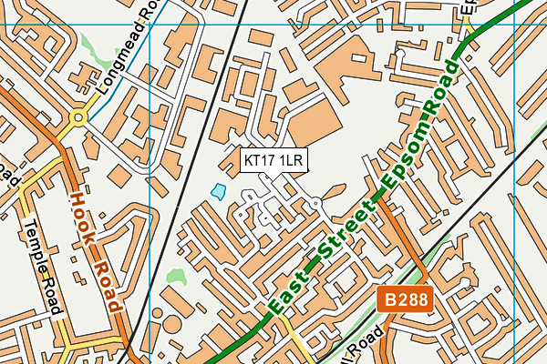 KT17 1LR map - OS VectorMap District (Ordnance Survey)