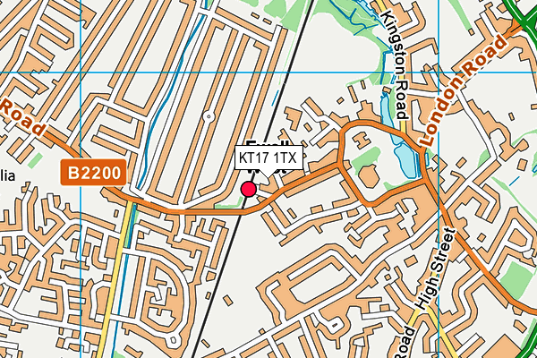 KT17 1TX map - OS VectorMap District (Ordnance Survey)
