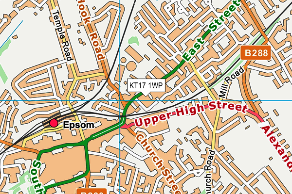 KT17 1WP map - OS VectorMap District (Ordnance Survey)