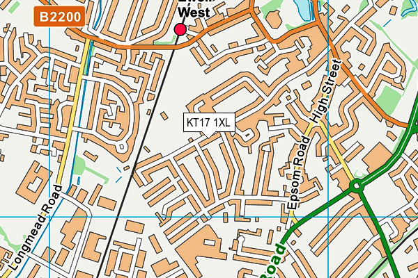 KT17 1XL map - OS VectorMap District (Ordnance Survey)