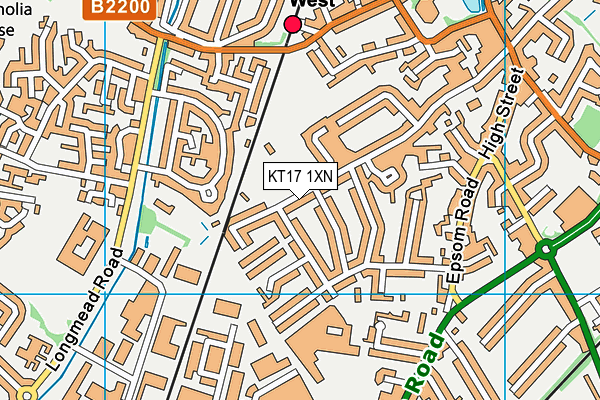 KT17 1XN map - OS VectorMap District (Ordnance Survey)