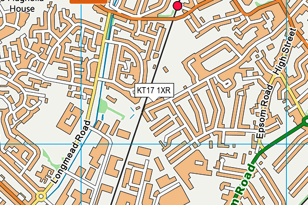 KT17 1XR map - OS VectorMap District (Ordnance Survey)