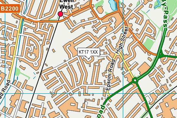 KT17 1XX map - OS VectorMap District (Ordnance Survey)