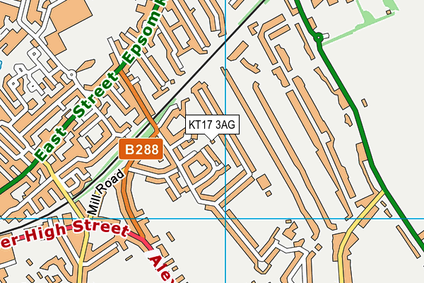 KT17 3AG map - OS VectorMap District (Ordnance Survey)
