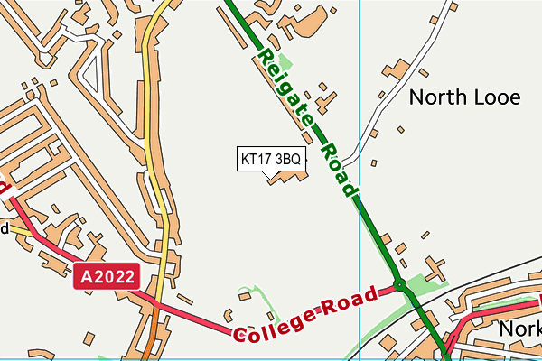 KT17 3BQ map - OS VectorMap District (Ordnance Survey)