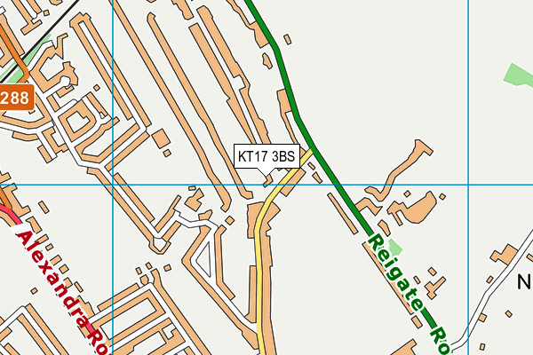 KT17 3BS map - OS VectorMap District (Ordnance Survey)