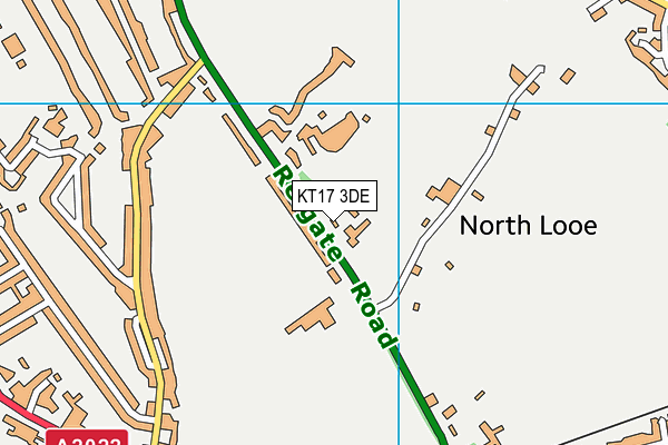 KT17 3DE map - OS VectorMap District (Ordnance Survey)