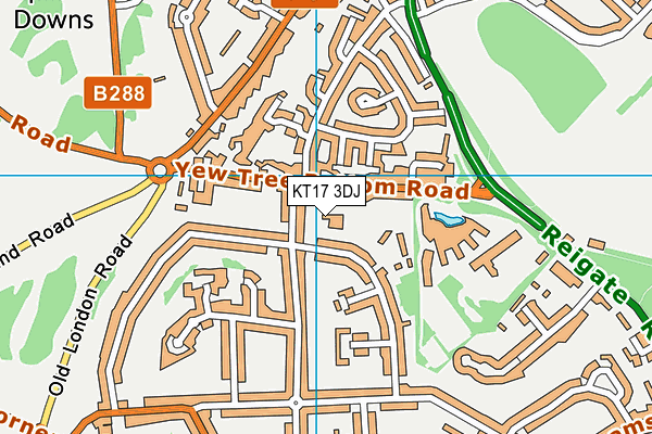 KT17 3DJ map - OS VectorMap District (Ordnance Survey)