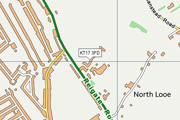 KT17 3FD map - OS VectorMap District (Ordnance Survey)