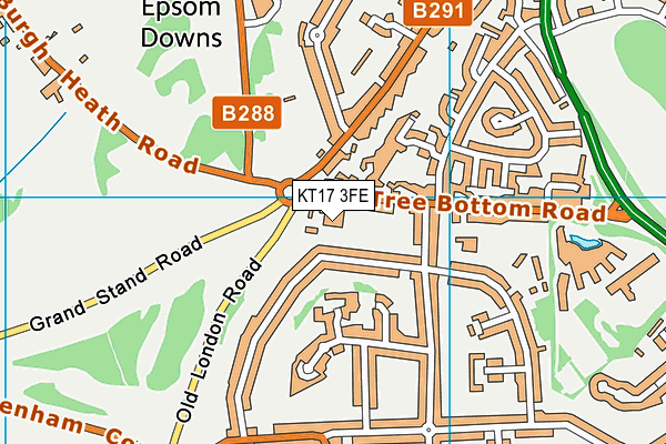 KT17 3FE map - OS VectorMap District (Ordnance Survey)