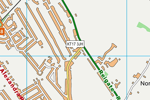 KT17 3JH map - OS VectorMap District (Ordnance Survey)