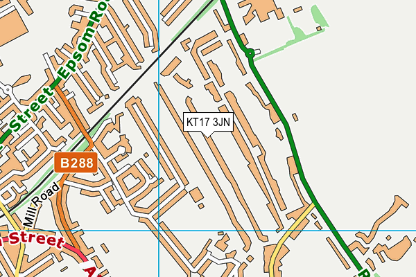 KT17 3JN map - OS VectorMap District (Ordnance Survey)