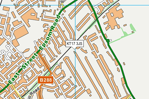 KT17 3JS map - OS VectorMap District (Ordnance Survey)
