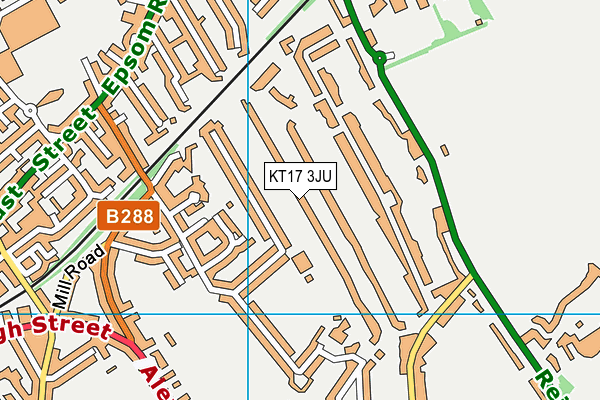 KT17 3JU map - OS VectorMap District (Ordnance Survey)