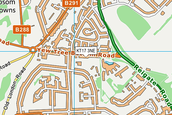 KT17 3NE map - OS VectorMap District (Ordnance Survey)