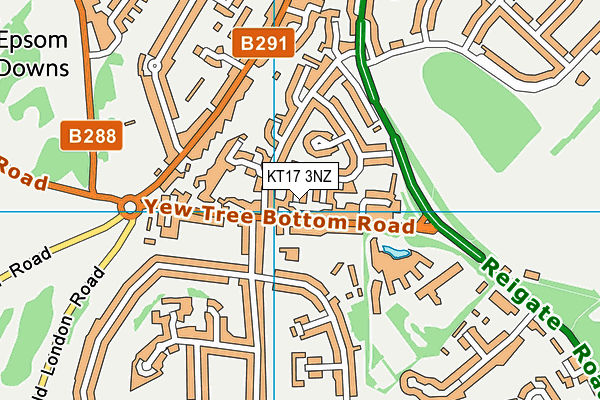 KT17 3NZ map - OS VectorMap District (Ordnance Survey)