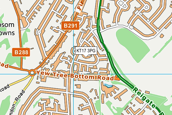 KT17 3PG map - OS VectorMap District (Ordnance Survey)