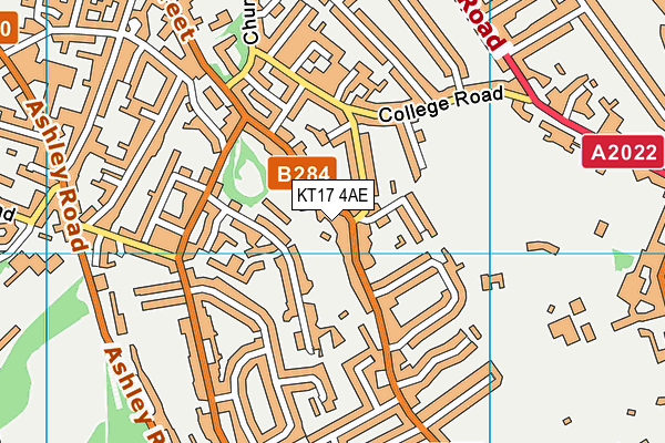 KT17 4AE map - OS VectorMap District (Ordnance Survey)