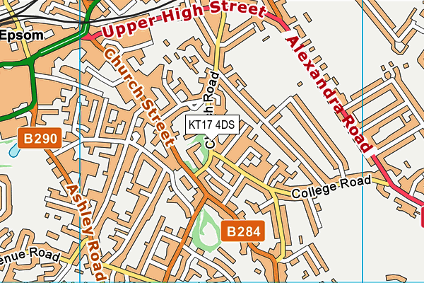 KT17 4DS map - OS VectorMap District (Ordnance Survey)